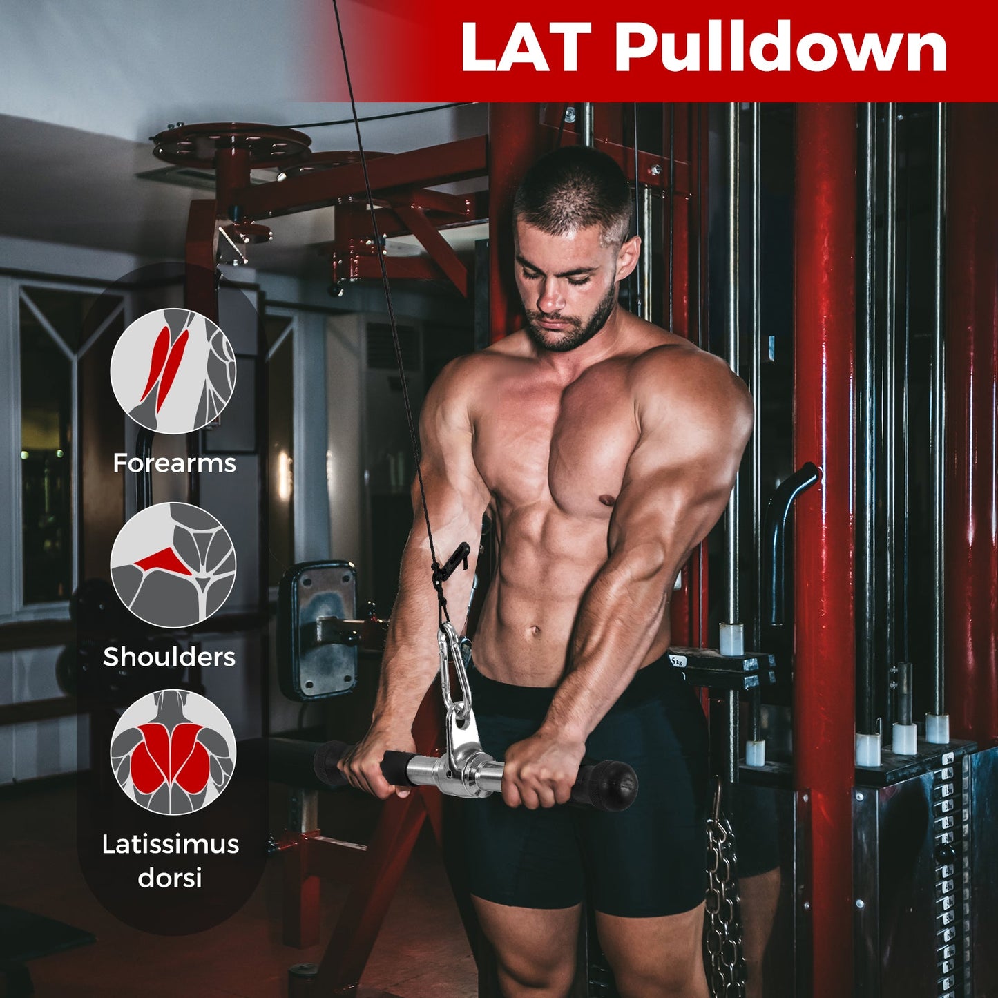 4-Piece Cable Machine Attachment Set, Home Gym Pulley Handles for Strength Training
