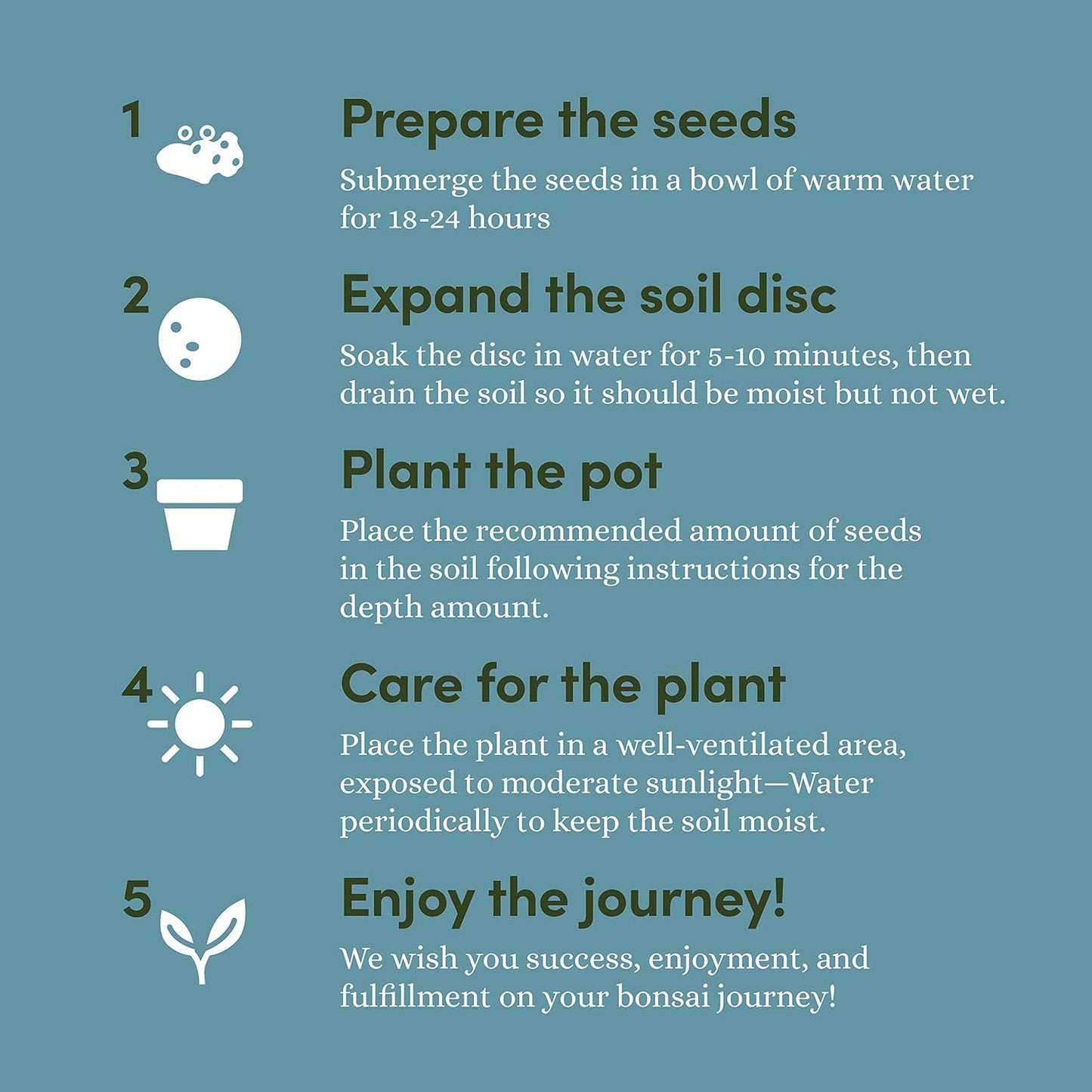 Bonsai Starter Kit - Gardening Easter Gift for Women & Men - Bonsai Tree Growing Garden Crafts Hobby Kits for Adults, Unique DIY Hobbies for Plant Lovers - Unusual Christmas Gifts Ideas