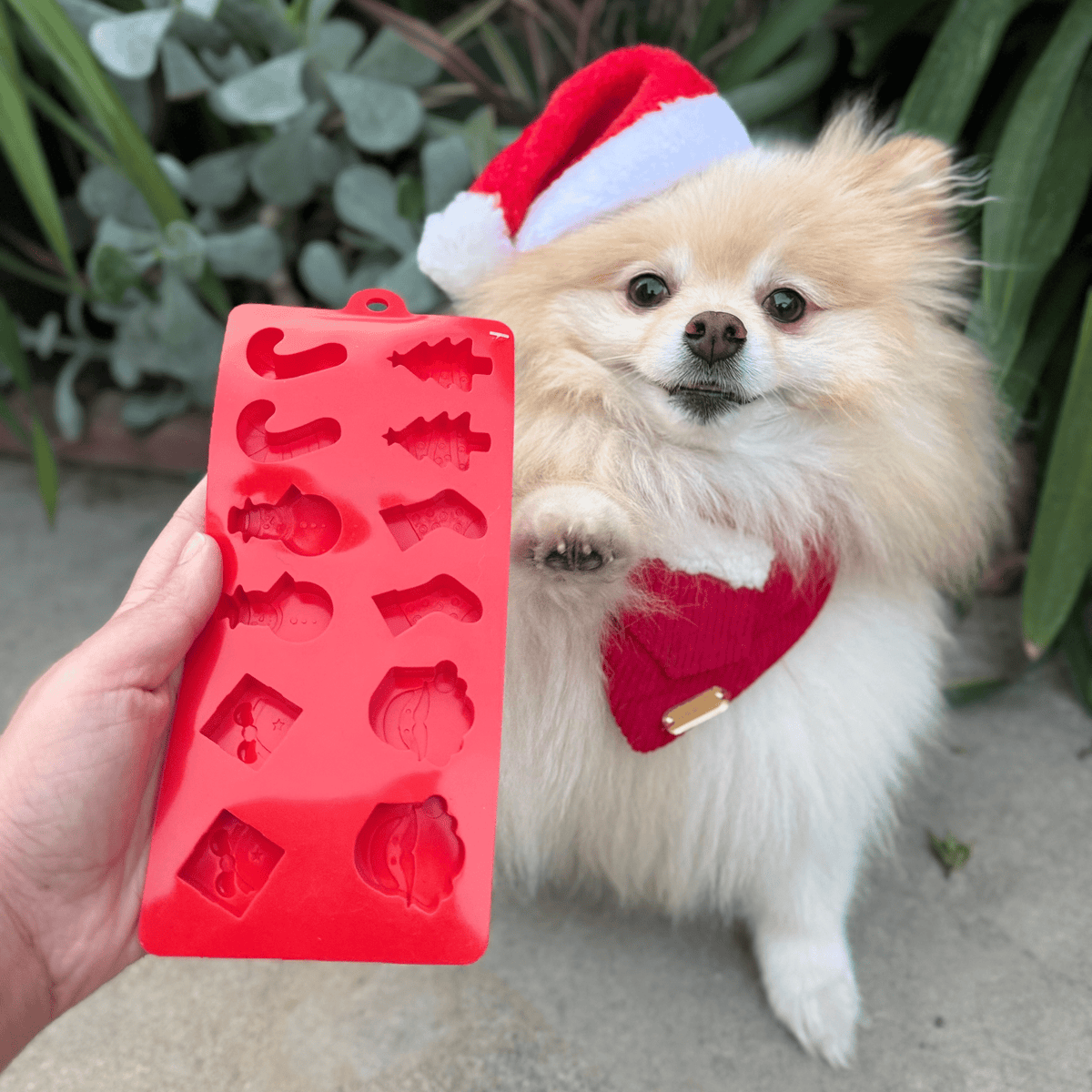 SodaPup Silicone Pet Treat Mold for Homemade Dog Treats