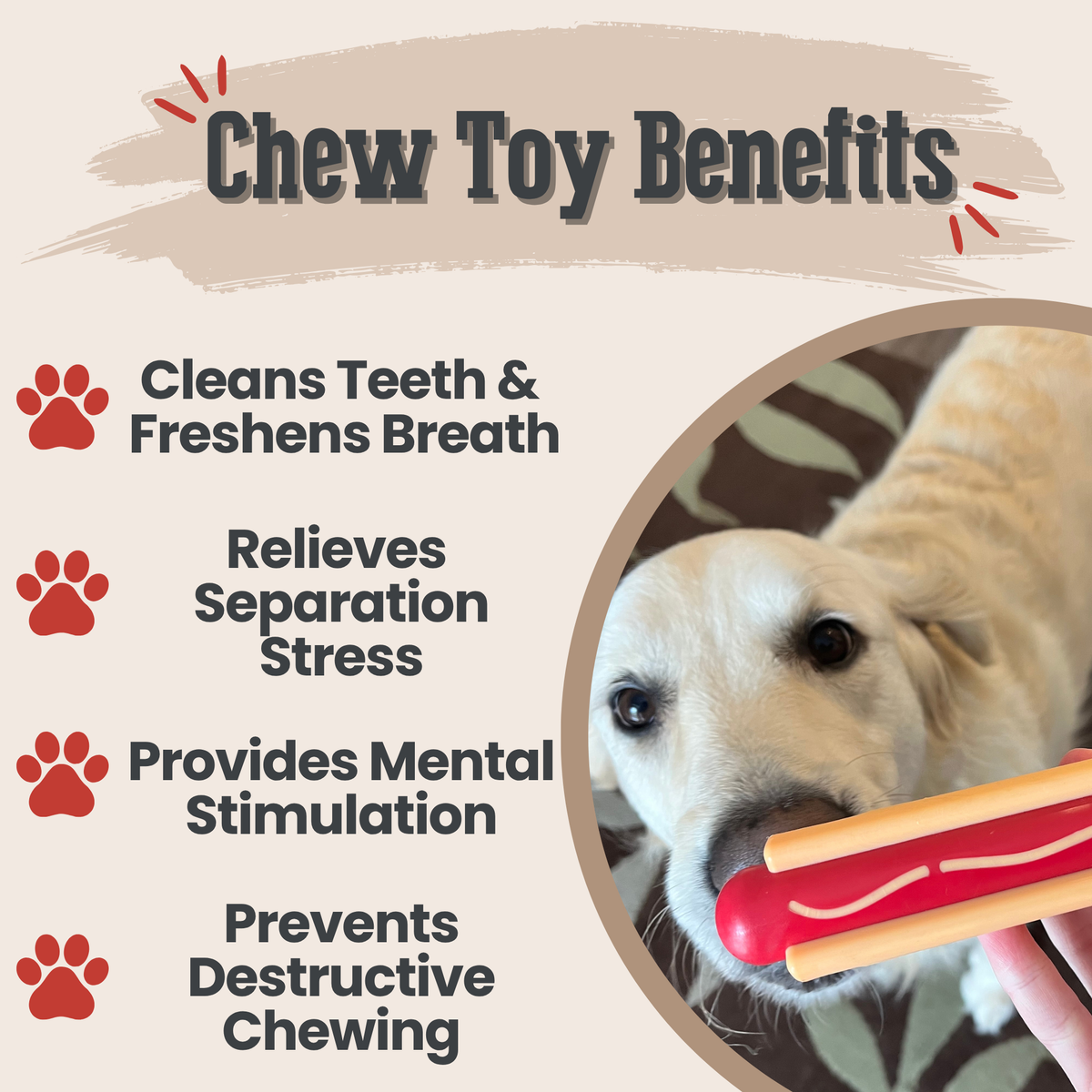 Farm to Pet x SodaPup Durable Dog Tug & Chew Toys