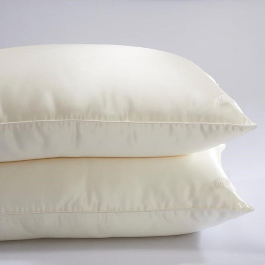 Mulberry Silk Filled Pillow with Removable Silk Cover