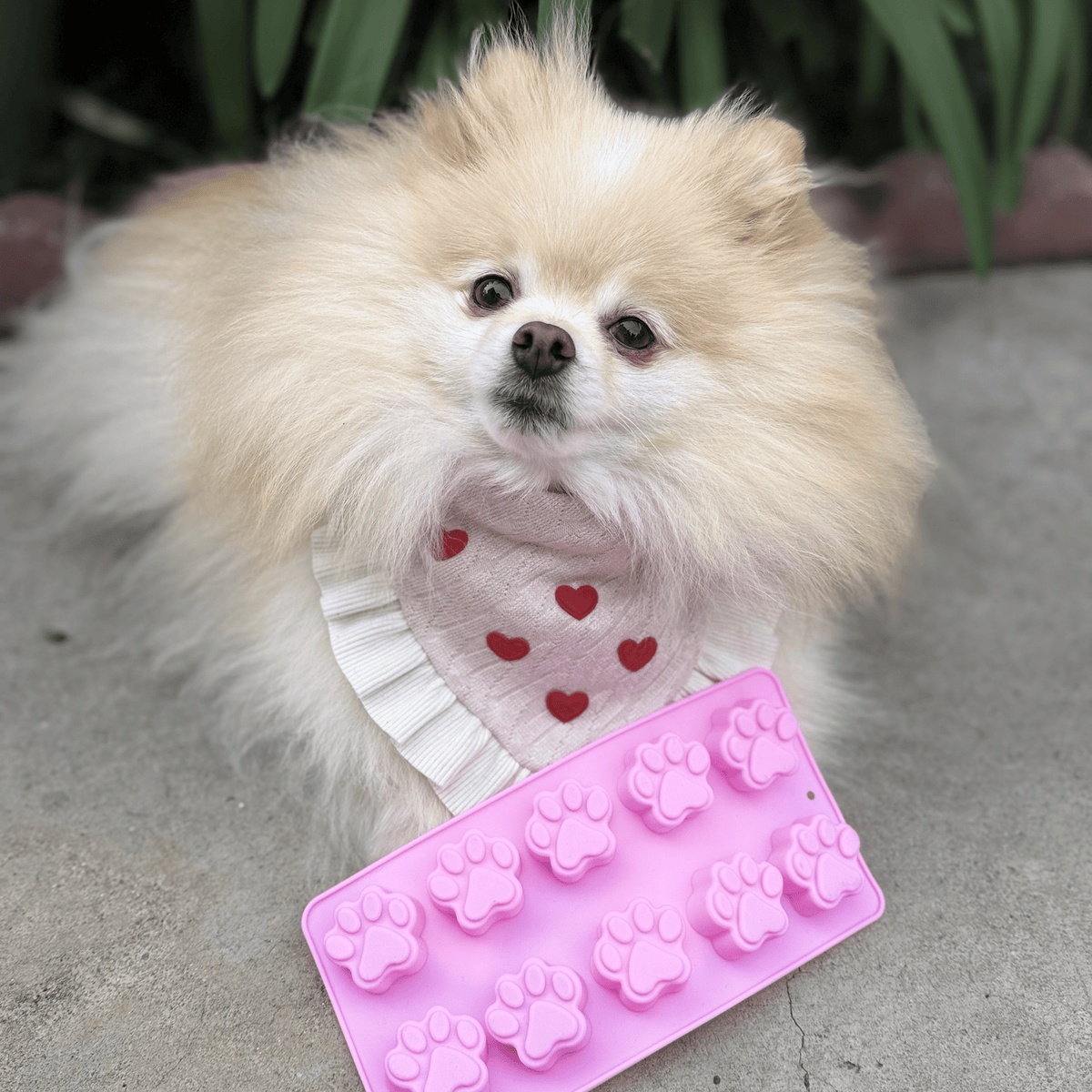 SodaPup Silicone Pet Treat Mold for Homemade Dog Treats