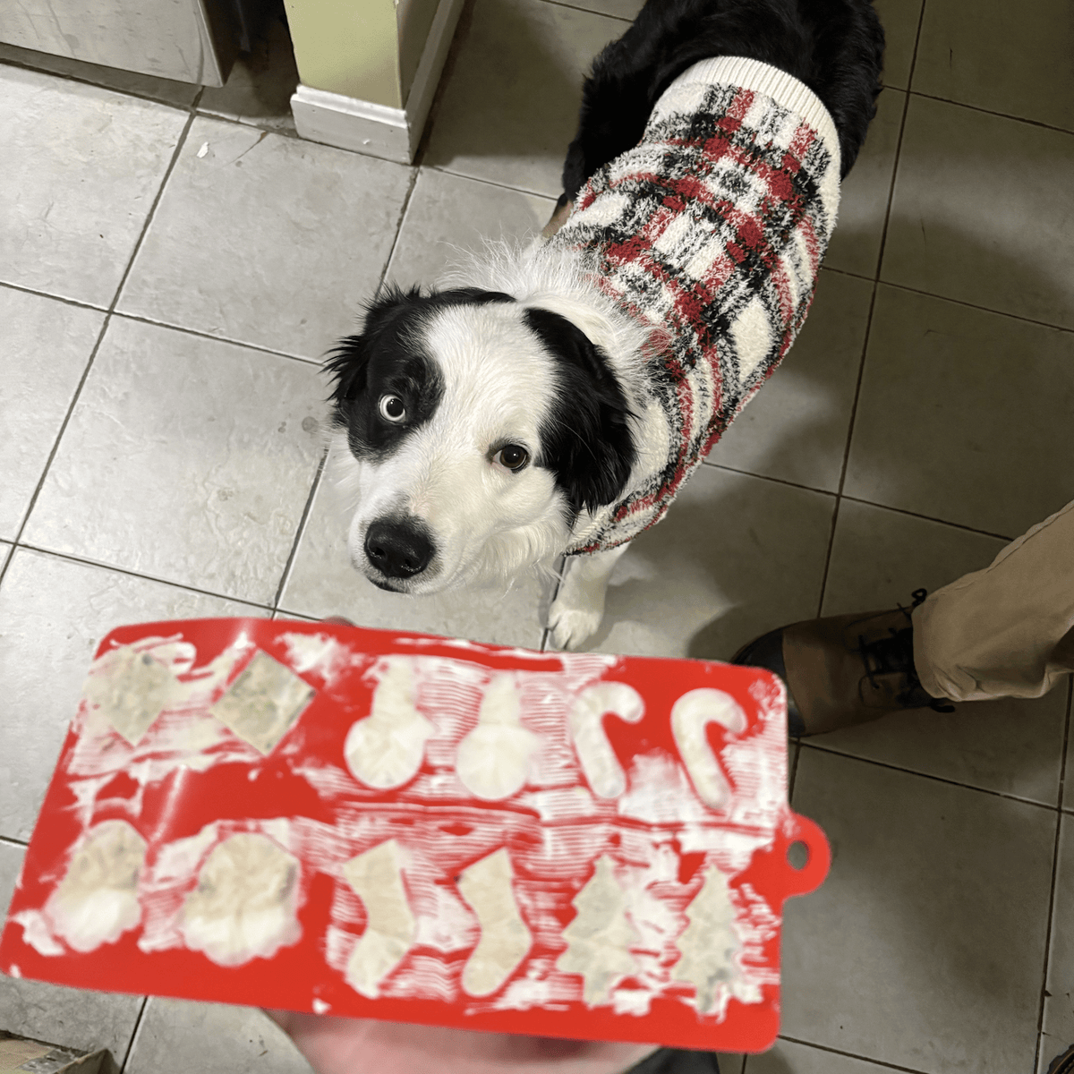 SodaPup Silicone Pet Treat Mold for Homemade Dog Treats