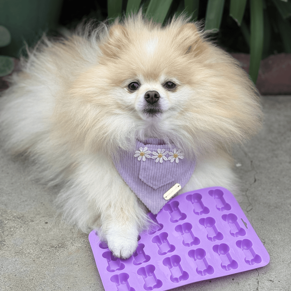 SodaPup Silicone Pet Treat Mold for Homemade Dog Treats